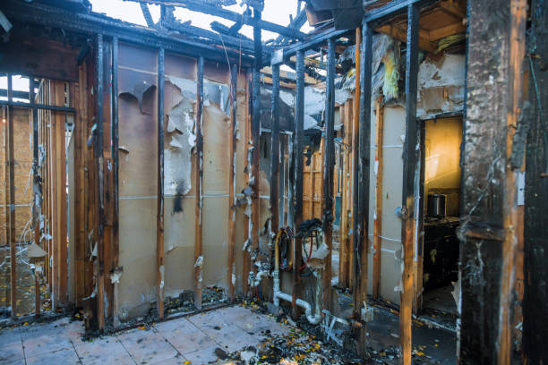 Professional Fire Damage Removal technician working in Mitchell, SD
